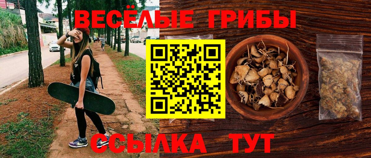 Галлюциногенные грибы GOLDEN TEACHER Железноводск