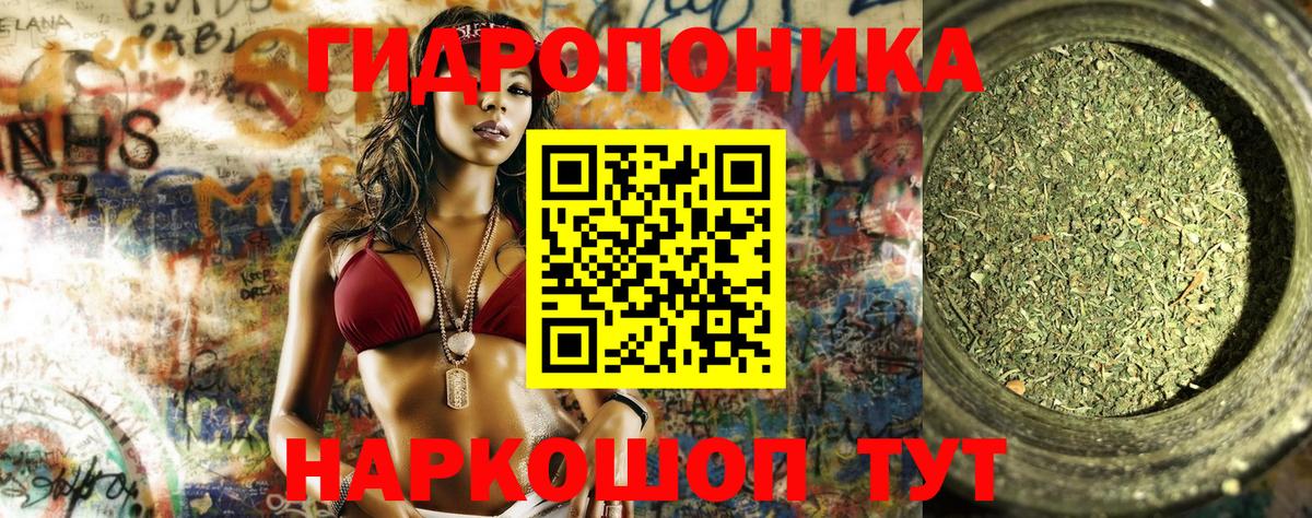 Конопля THC 21%  Вход с VPN  Железноводск  Шишки марихуана конопля  Бошки Шишки тримм 